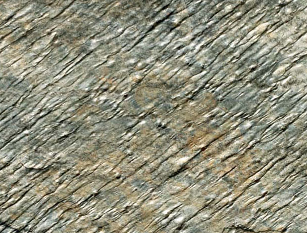 Mica green quartzite