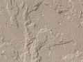 Beige Sandstone